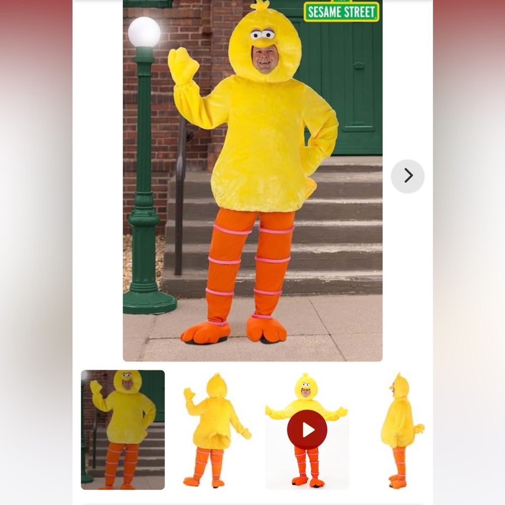 Men’s 3XL big bird costume